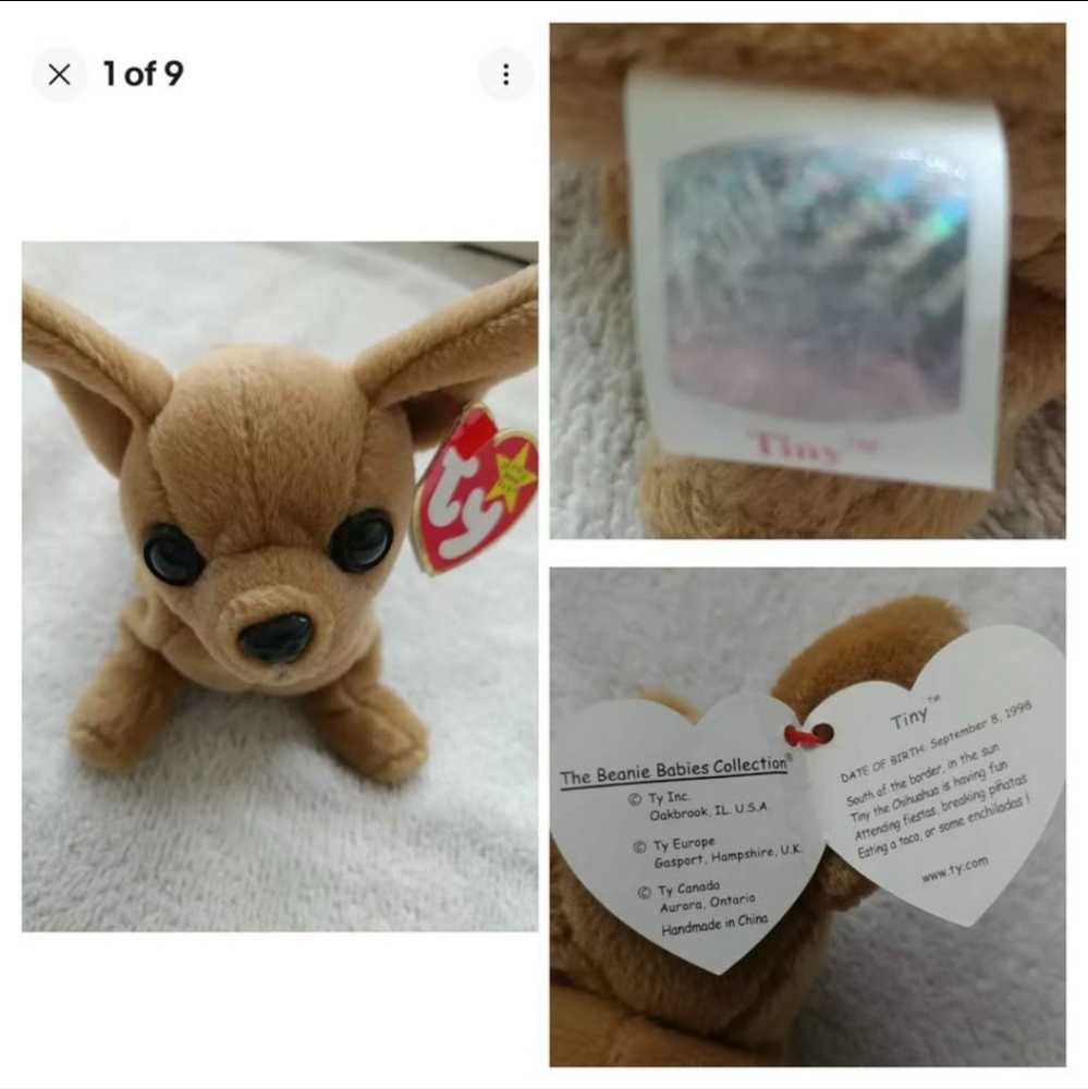 NWT! COLLECTIBLE TY BEANIE BABIES.    ~TINY~  THE CHIHUAHUA. TAG ERRORS/RARE!